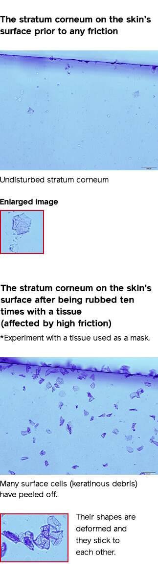 Cause #2: Damage Due to Constant Friction