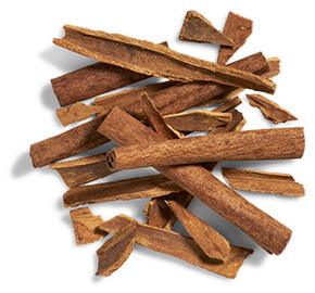 BIO-PERFORMANCE Other